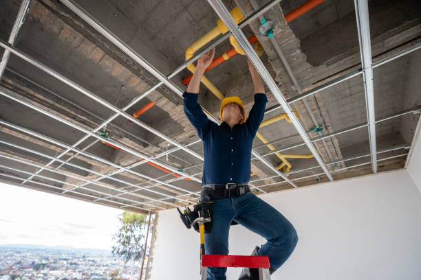 Best Sprinkler Systems  in Trion, GA